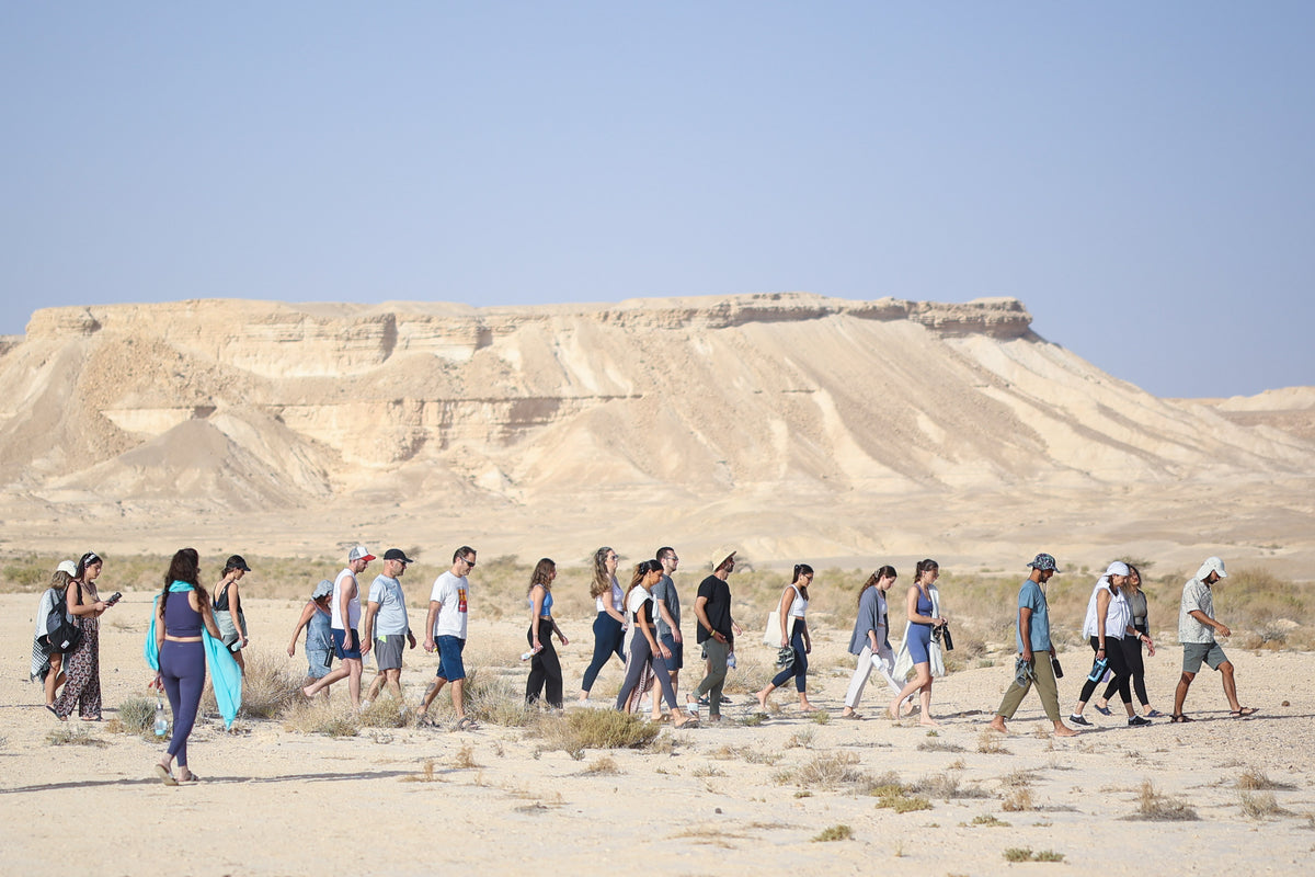 ארד וולדנברג